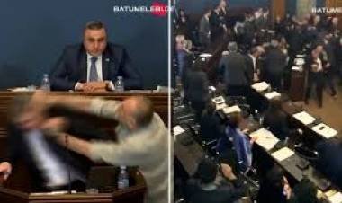 Escándalo en el Parlamento de Georgia