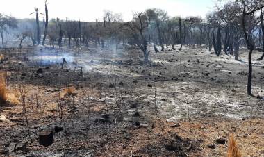 Cuatro incendios  en guardia de cenizas