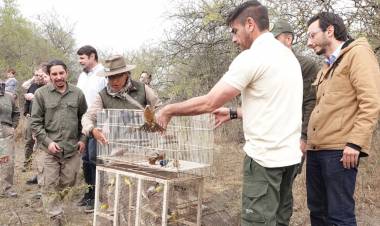 Liberación de fauna y conservación de especies