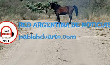 SAN FRANCISCO DEL CHAÑAR: POTENCIAL PELIGRO