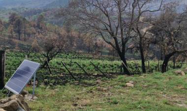 Incendios: Centros Comerciales a Cielo abierto