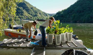 San Roque más limpio