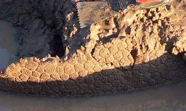 Hallazgo en Pampayasta: descubrieron restos de un gliptodonte