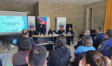 Cosedepro en el norte