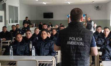 Formación ambiental