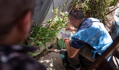 Dengue: Recomendaciones