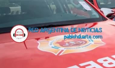 Rescataron un gatito