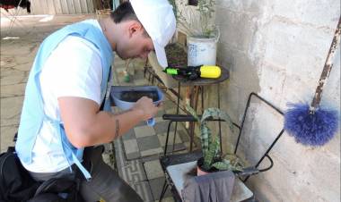 Cronograma de monitoreo aédico