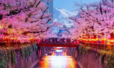 Cancelan famoso festival de Japón ante el mal comportamiento de los turistas