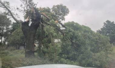 Fuerte temporal en el sudeste provincial