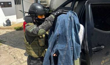 Desmantelaron un invernadero de marihuana