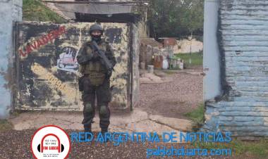 Poseía varias plantas de cannabis sativa