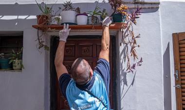 Dengue: primer caso autóctono