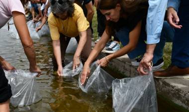 Siembran pejerreyes en el embalse de Cruz del Eje