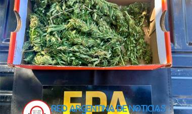 Secuestraron 500 dosis