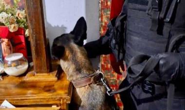 Sorprendidos fraccionando drogas