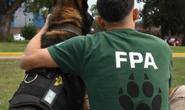 Se retira Buster con 344 intervenciones positivas