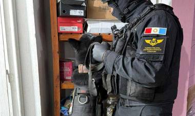 Intentaron descartarse de la droga 