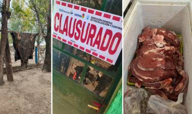Faenamiento clandestino