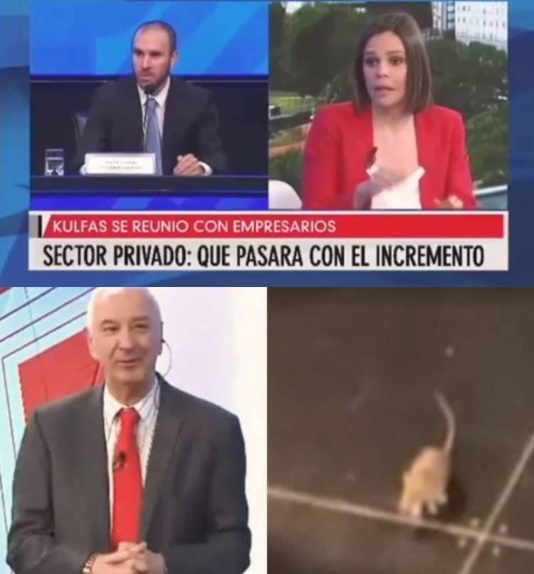 Mauro Viale estaba haciendo su programa en vivo ¡y le apareció una rata!