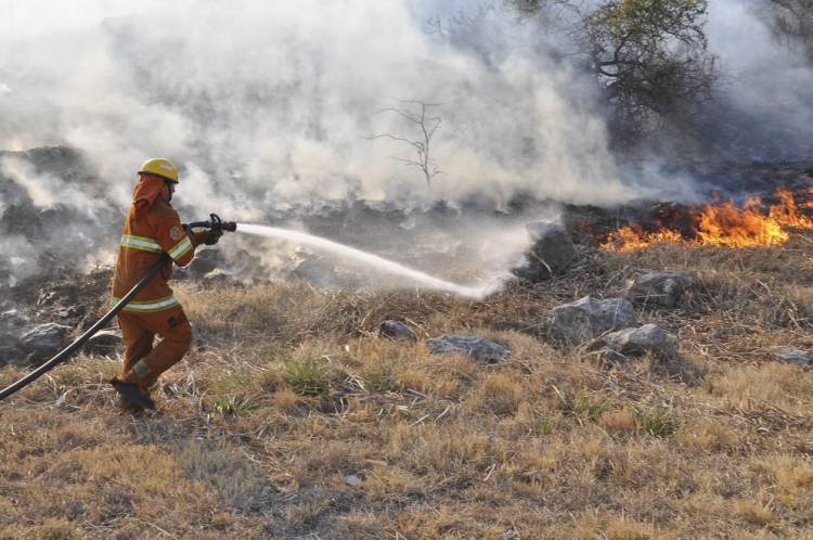 El fuego continúa activo en Tala Cañada