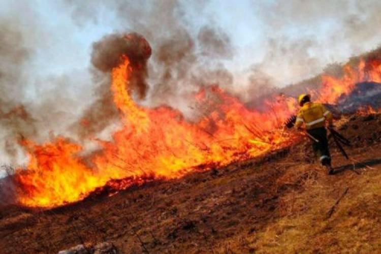 Buscan identificar a los responsables de los incendios en Santiago del Estero