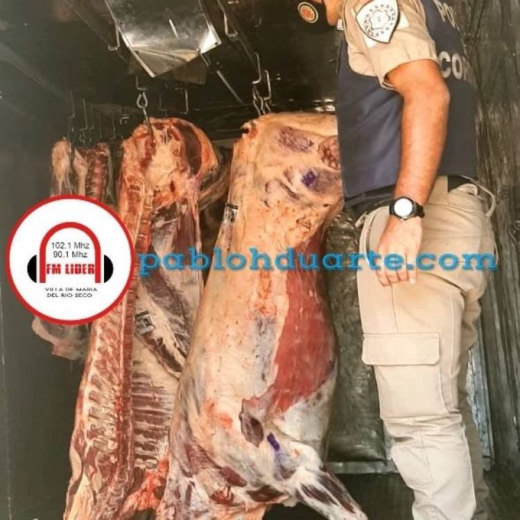 Secuestran 1000 kilos de carne