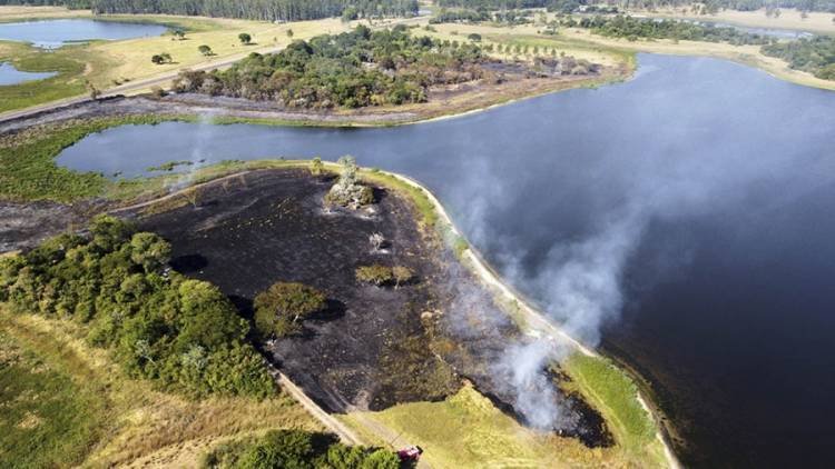Incendios: a 519 mil hectáreas afectadas