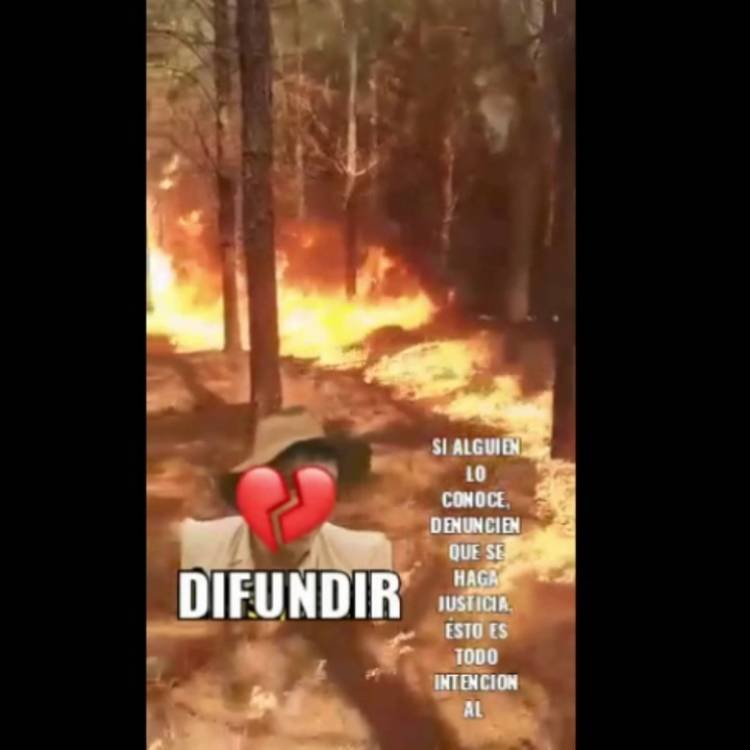 Corrientes: se grabó mientras prendía fuego un bosque 