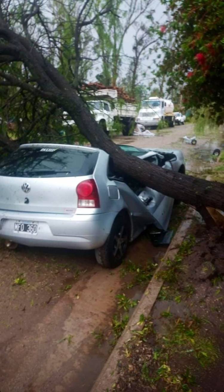 La tormenta generó grandes destrozos en Río Primero 
