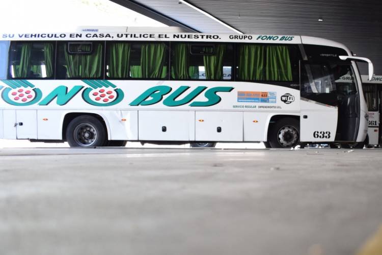 Quienes se dirijan a la Terminal de Ómnibus viajarán gratis desde algunas paradas