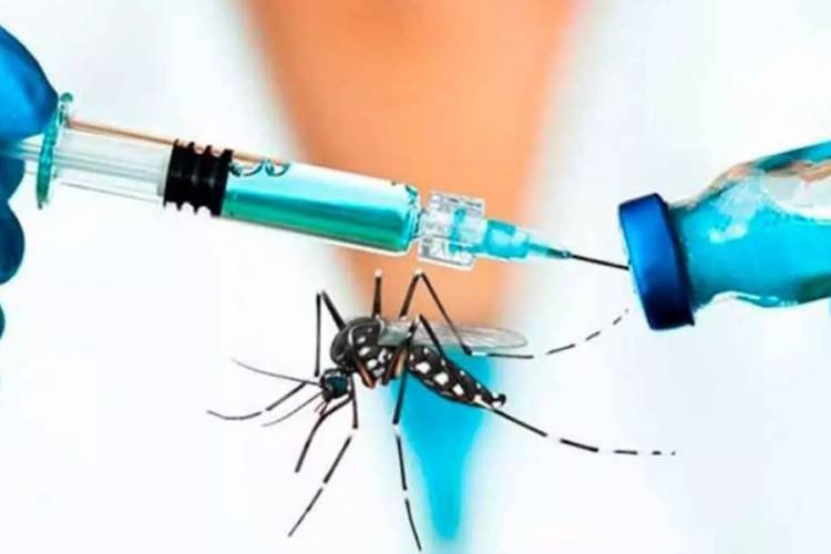Llega al país la vacuna contra el dengue 