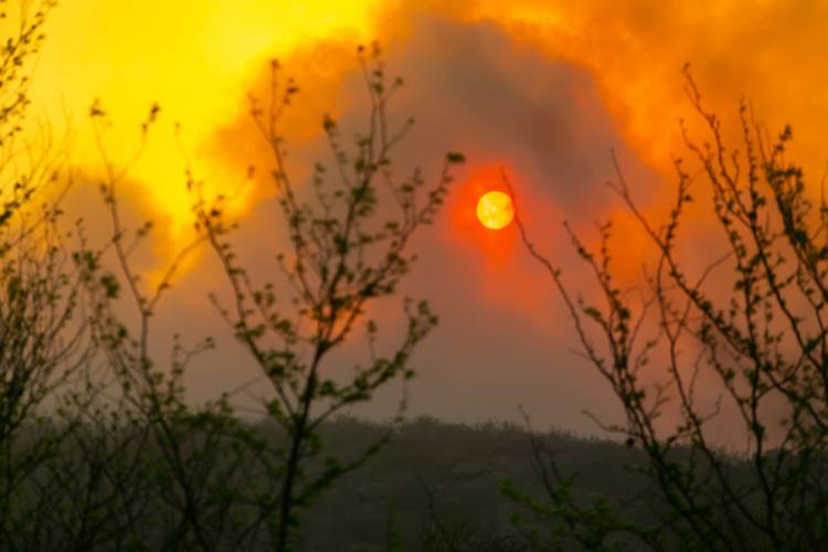 Incendios