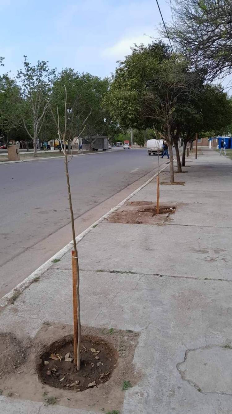Informa: Municipalidad Villa de María