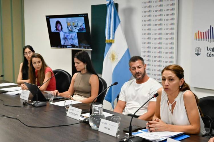 Se crea el Tribunal Administrativo Ambiental