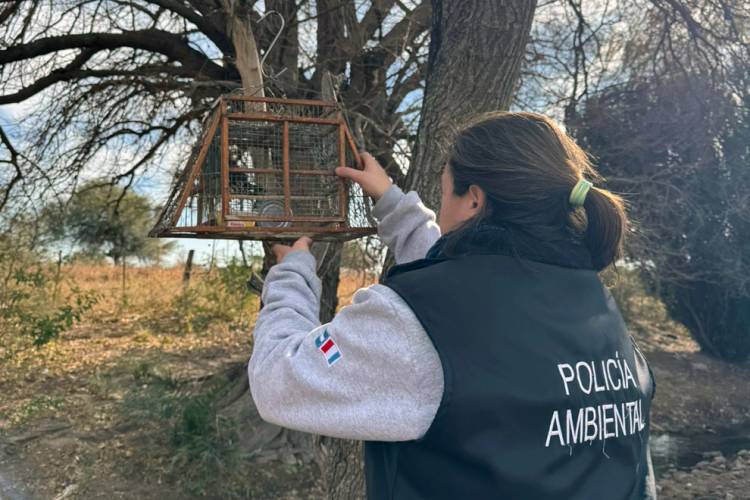 Policía Ambiental allanó viviendas