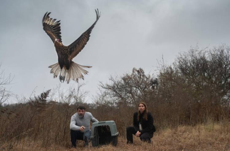Liberaron 15 ejemplares de fauna silvestre