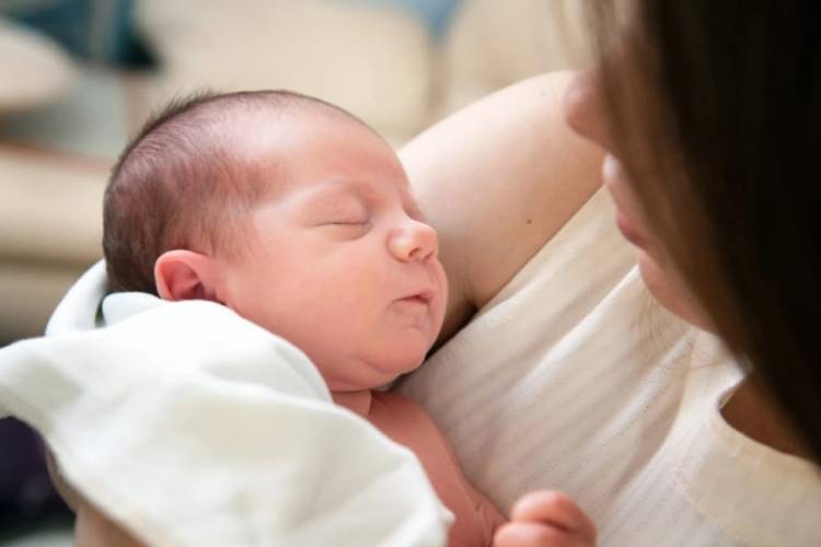 Licencia por Maternidad:  se acredita el monto
