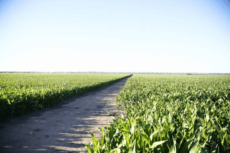 La Provincia impulsa el Seguro Multirriesgo Agrícola