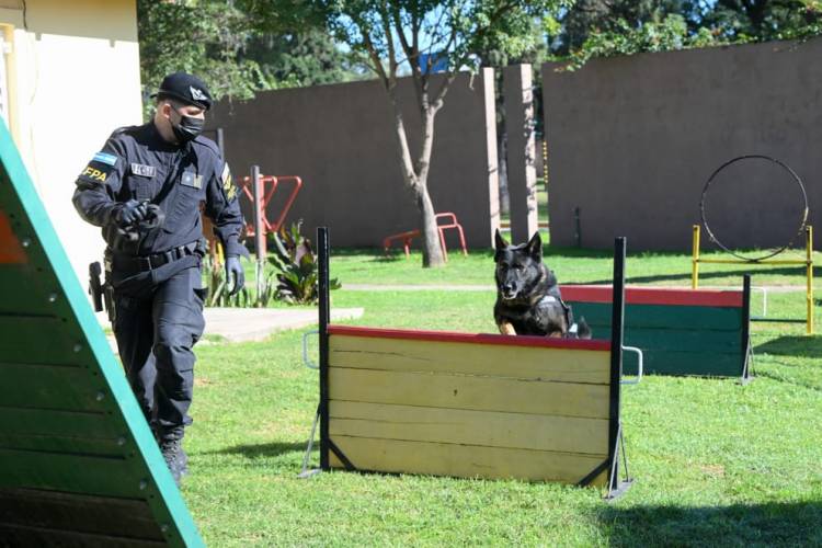 Agente canino de la FPA que se retiró con más de 300 procedimientos