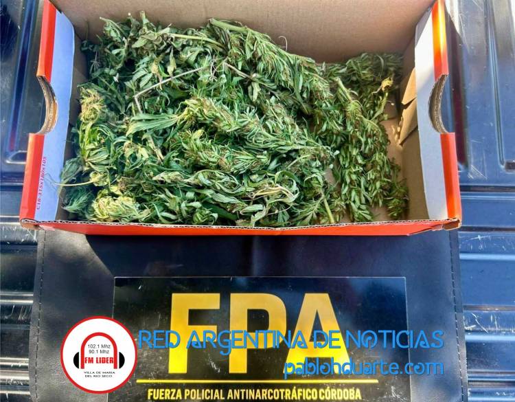 Secuestraron 500 dosis