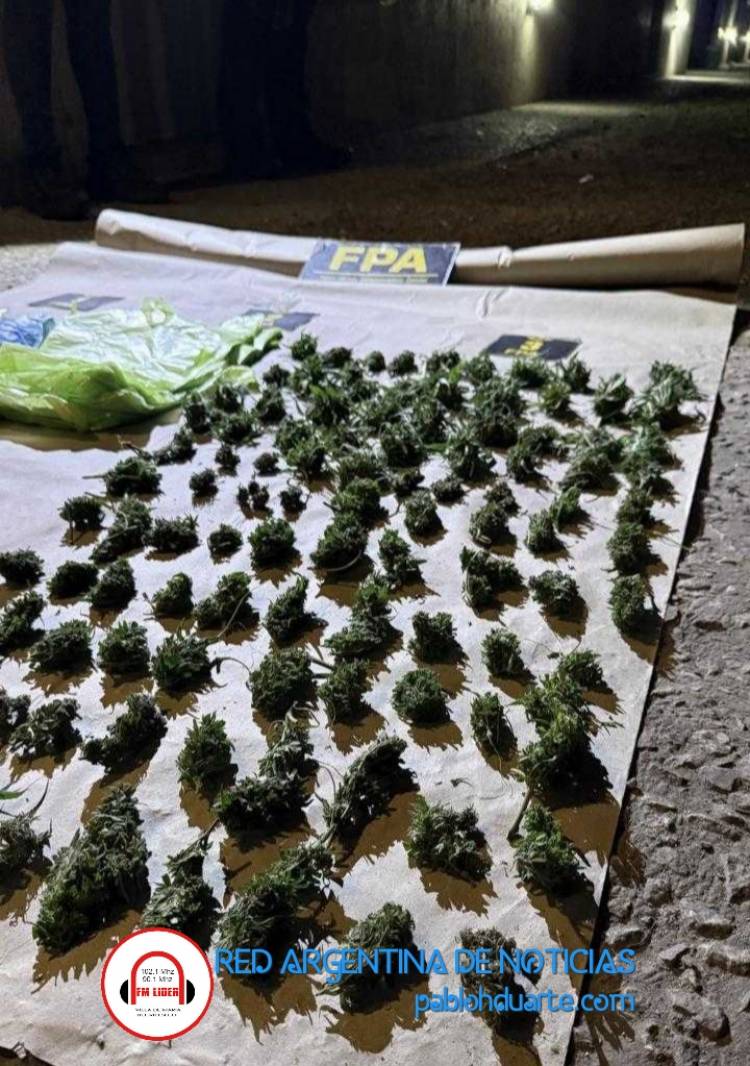 Cocaína, tussi y marihuana