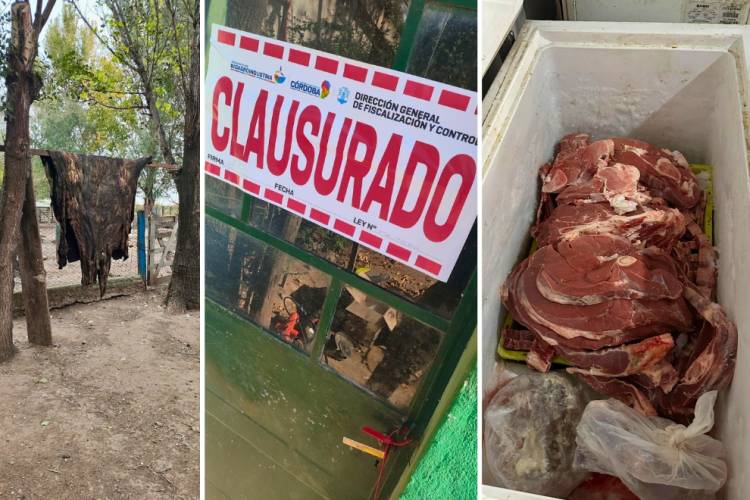 Faenamiento clandestino